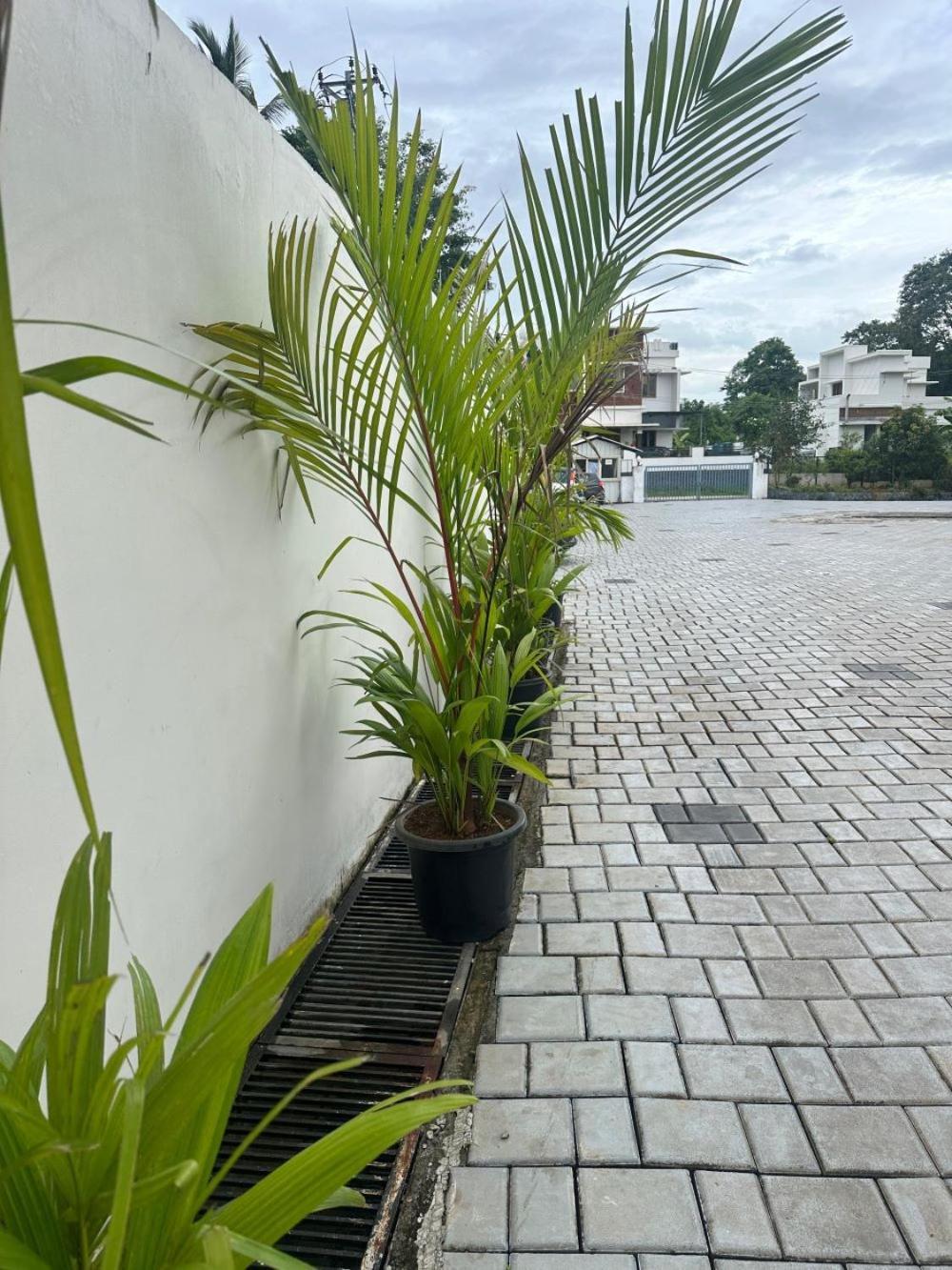 Fortune Hills Palakkad Exterior foto